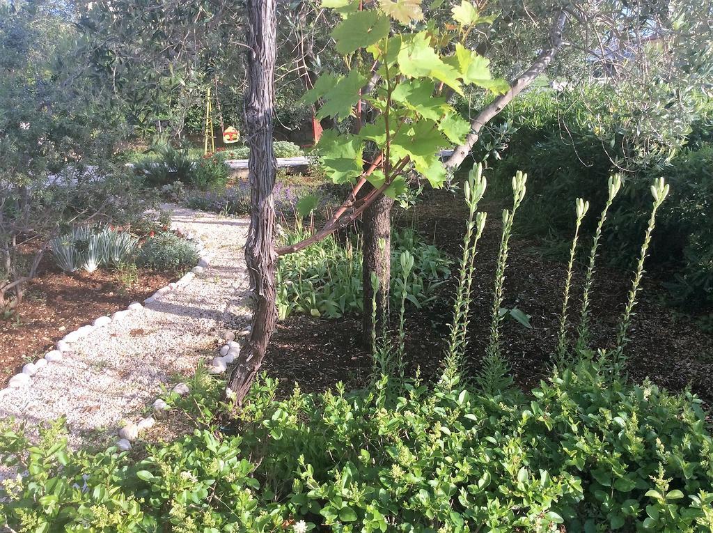 Apartamento Jadranka